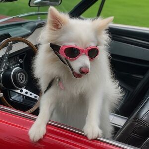 Unlisted Pre Loved Women’s Clothing